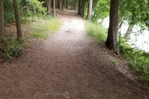 Durham Conservation Area – photo 2