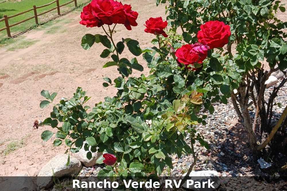 Park Image 10