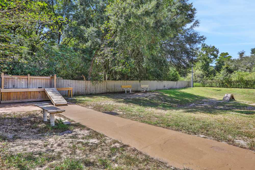 Park Image 6