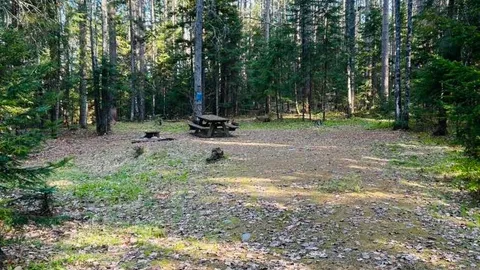 WOODED SITE 19 — image 1 of 4