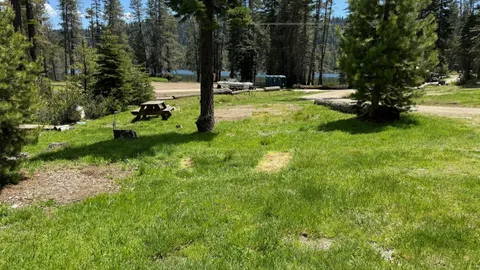 Stomper - Pull Thru Site — image 1 of 2