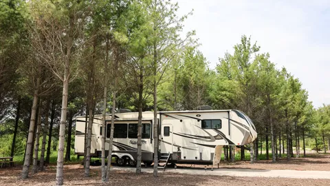 20/30/50 Amp Back-In Deluxe RV Site — image 2 of 8