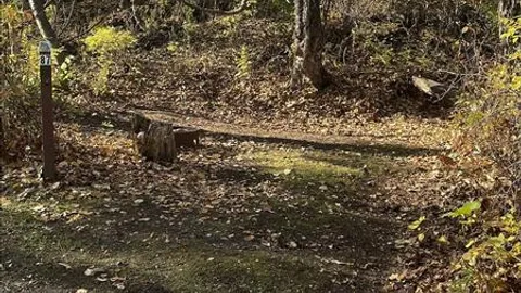 Primitive Tent Site — image 2 of 2