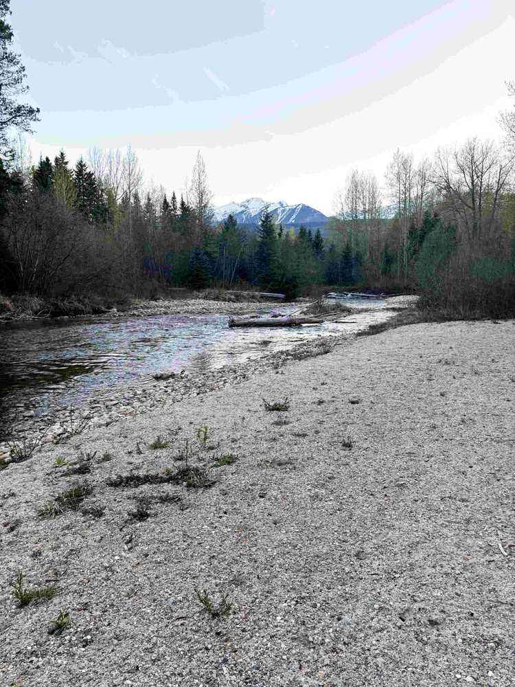 Park Image 9