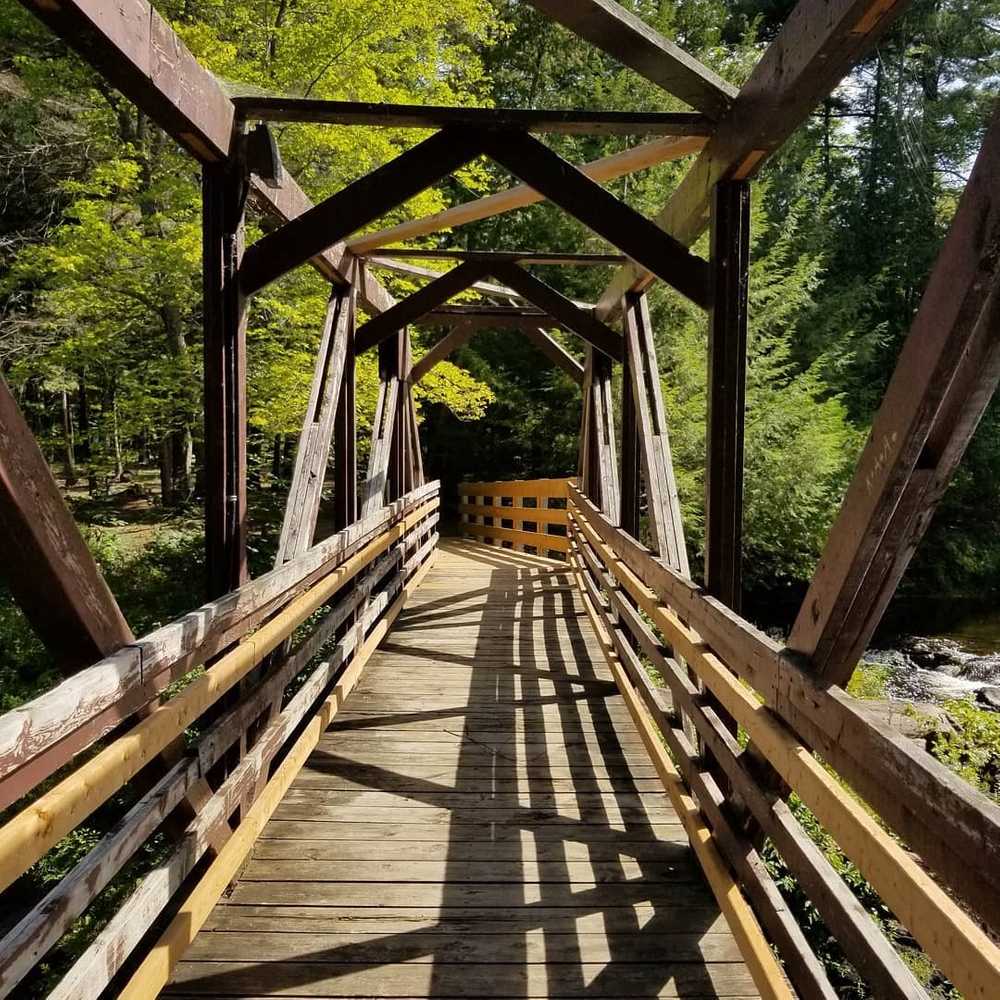 Black River Wilderness Park - Photo 3