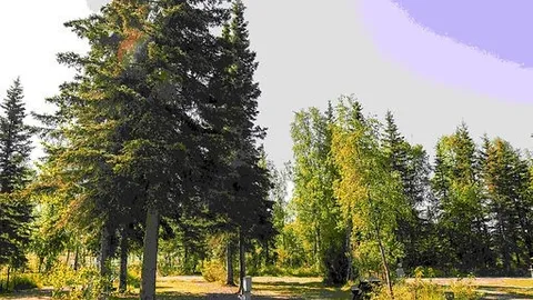 Mid Size - Blair's Tall Timbers — image 3 of 3