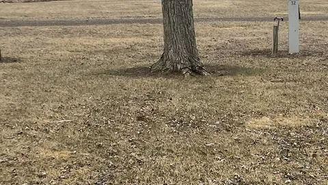 30 Amp, Grass site — image 2 of 2