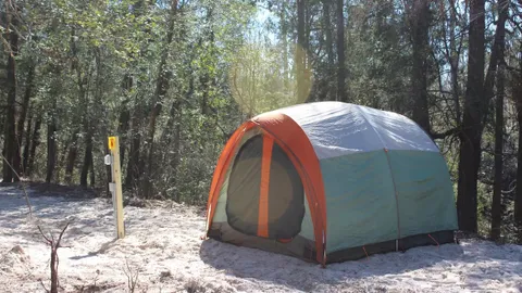 Primitive Tent Site — image 1 of 1