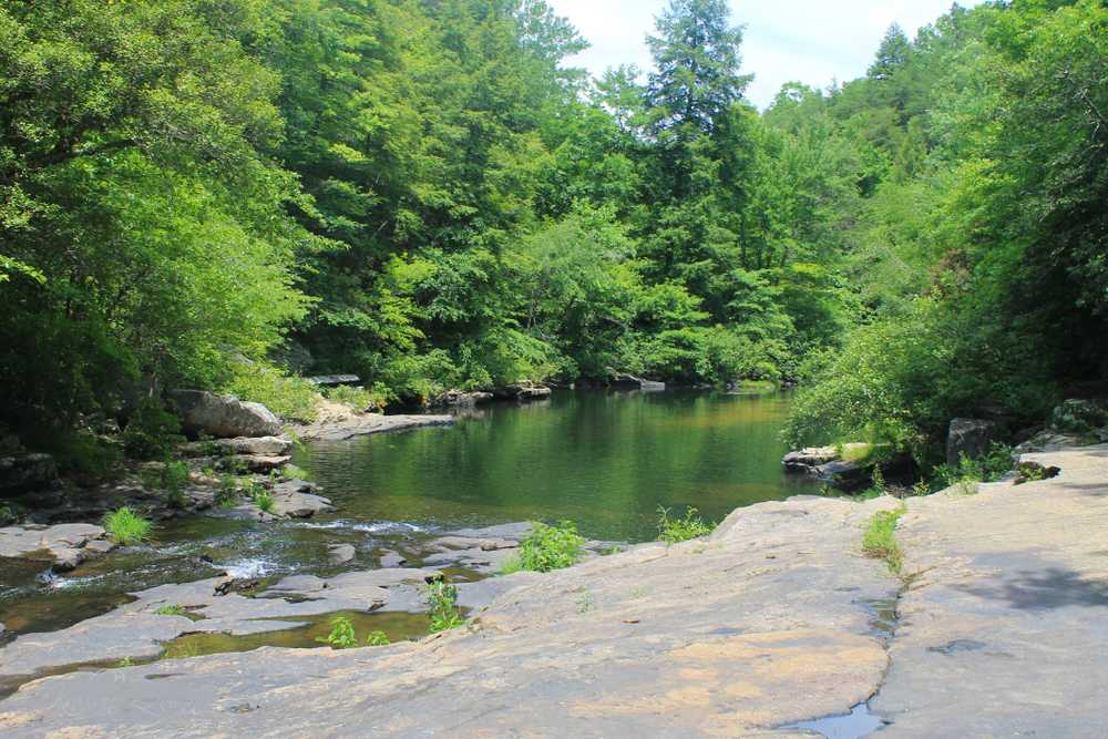 Greeter Falls Campground - Photo 2