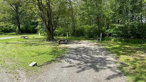 Tent / Small Camper Water + Electric Site — image 2 of 5