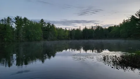Lake View Un-Serviced Site — image 2 of 2