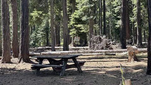 Eastern Campsites — image 2 of 2