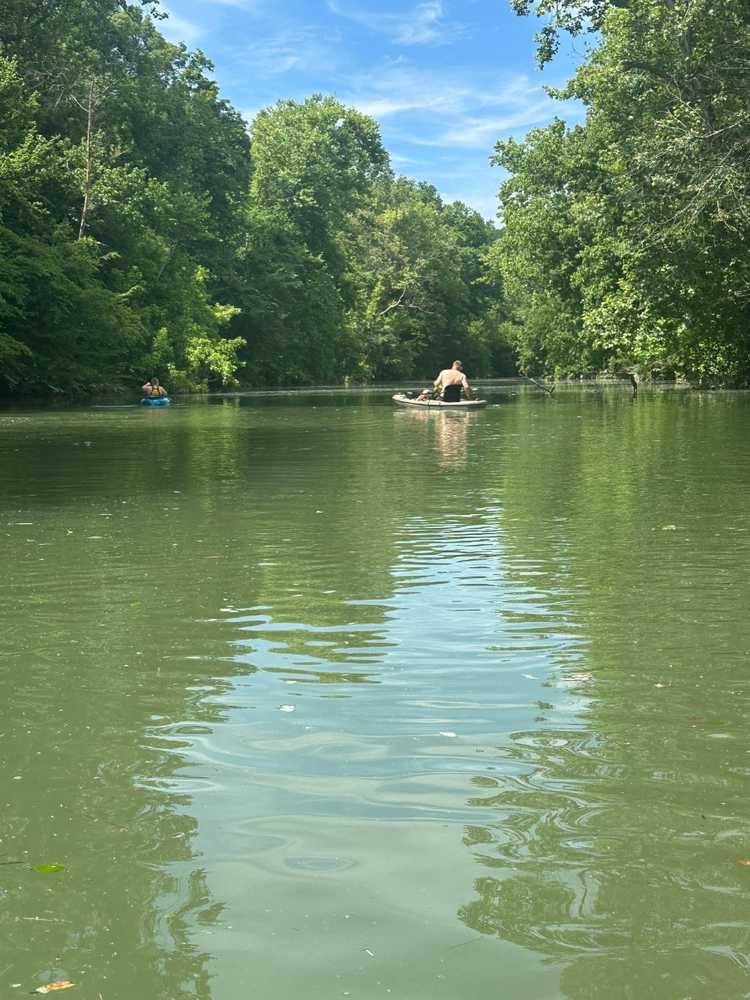 Park Image 6