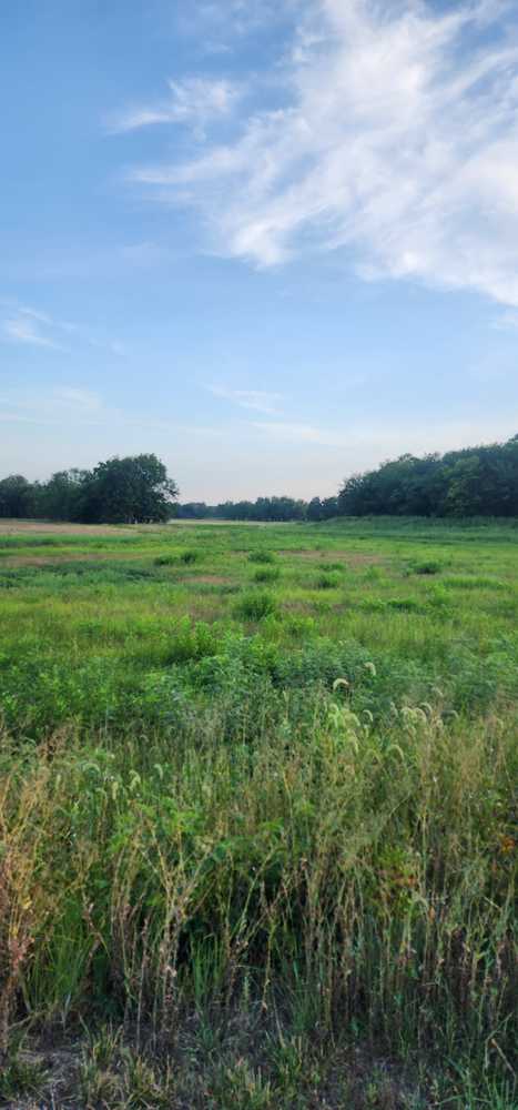 Park Image 6
