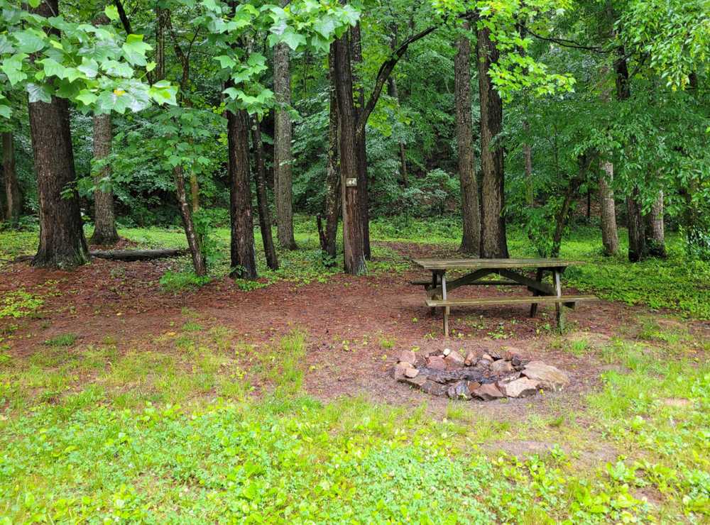 Rappahannock River Campground - Photo 3