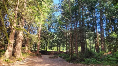 Explorer’s Nook Tent Site — image 2 of 12