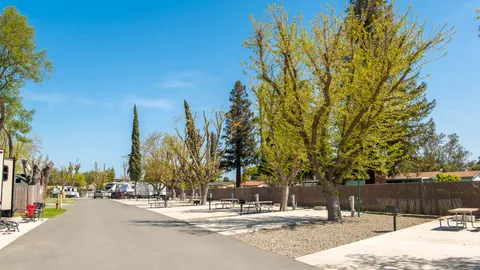 Red Carpet Back-In RV Site — image 2 of 5