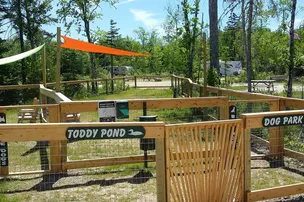 Balsam Cove Campground – photo 4