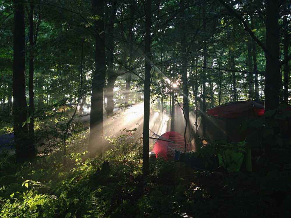 Yasgur Road Campground, Bethel, New York - Photo 2