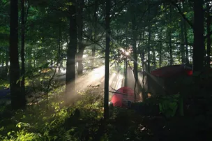 Yasgur Road Campground – photo 2