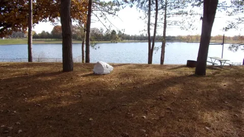 Primitives On Lake 6 — image 8 of 8