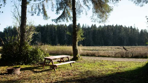 Un-serviced Wood Land Tent Sites (69-70, 99-104) — image 2 of 8