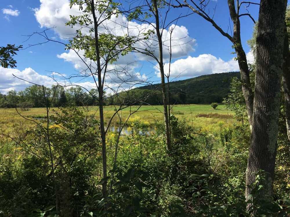 Crazy Acres Campground, Davenport, New York - Main Photo