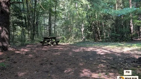 Primitive Walk In Tent Site — image 2 of 22