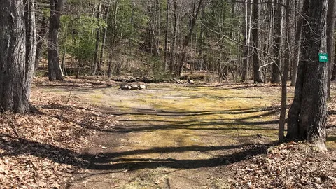 Primitive Creekside Tent Site — image 1 of 1