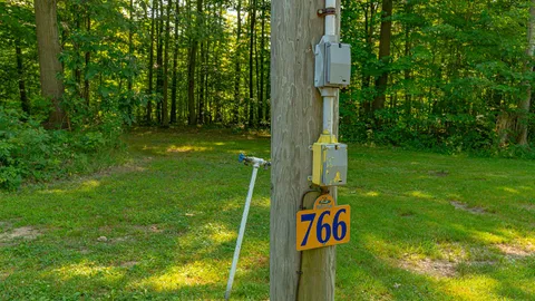 Water & Electric Back In RV Site — image 2 of 5