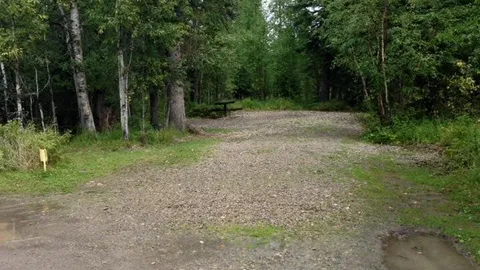 Treed Site(Non-Power) — image 2 of 13