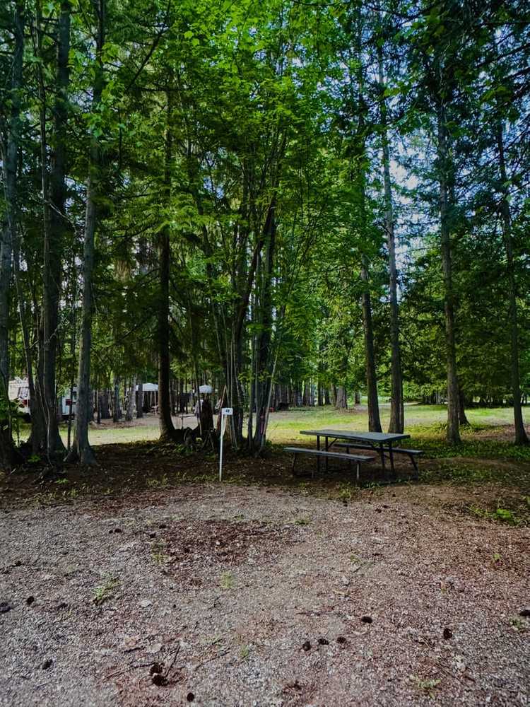 Ross Creek Campground - Magna Bay, BC - Photo 3