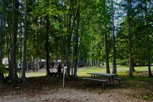 Ross Creek Campground – photo 3