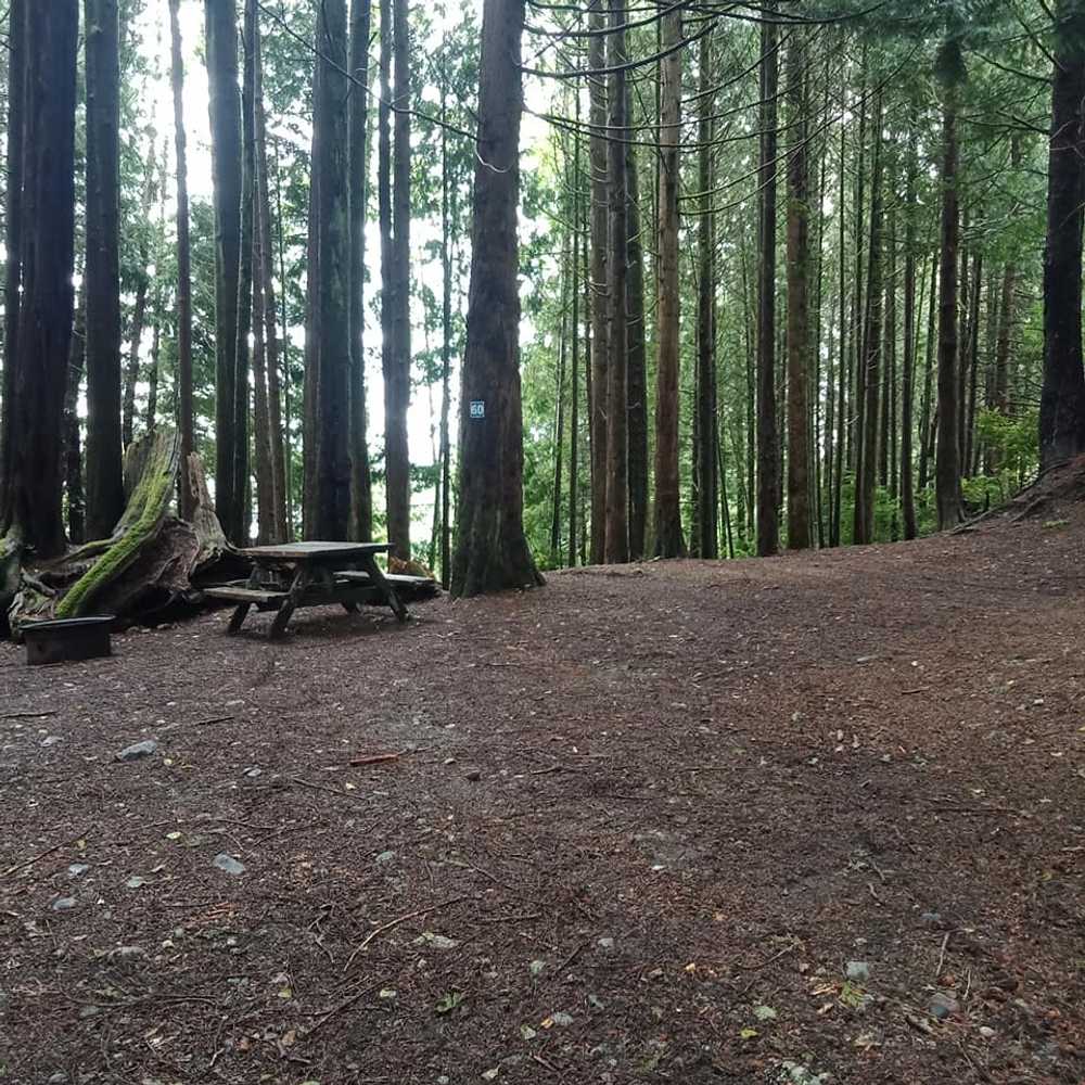 Park Image 7