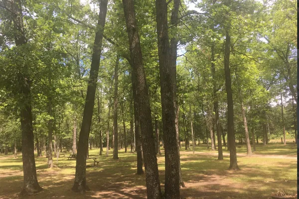 Tippy Dam Campground and Cabins – photo 1