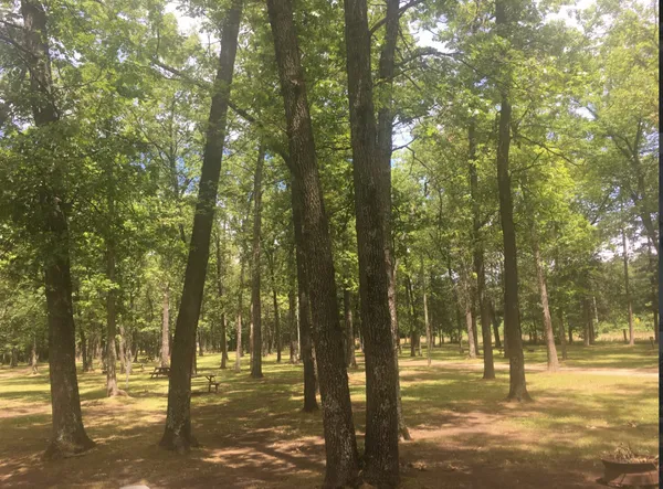 Tippy Dam Campground and Cabins campground