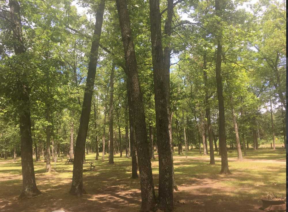 Tippy Dam Campground and Cabins