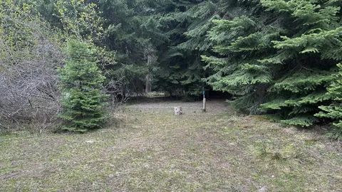 Family Campsites — image 6 of 6