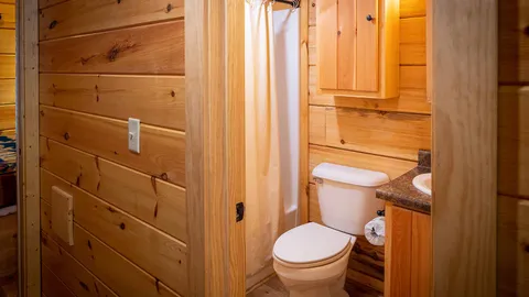 Pine Forest Cabin — image 2 of 22