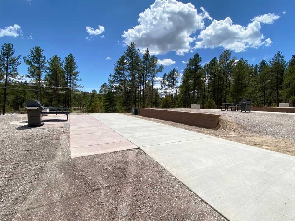Bear Hugs and Campfire Tales: Your Guide to Colorado Jellystone Park at Larkspur