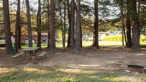 Primitive Tent Site — image 5 of 5