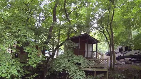 Comfort Cabin — image 1 of 5