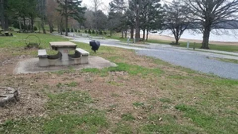 Non-Waterfront Electric & Water RV Site — image 2 of 3