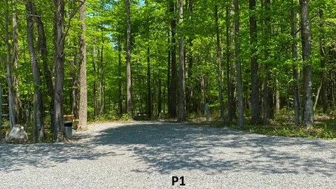 Wooded Premium FHU — image 7 of 7