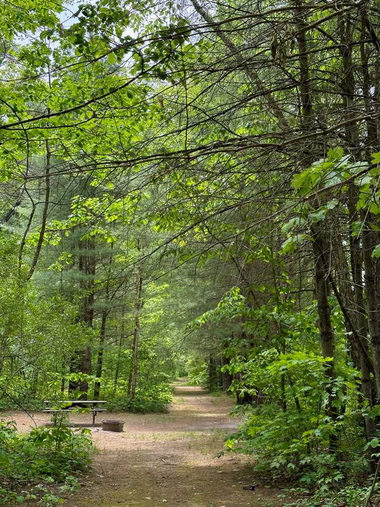 Dingmans Campground, Dingmans Ferry, Pennsylvania - Photo 3