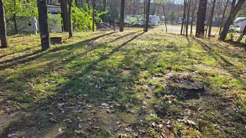 Standard Hookup RV Site 30/50AMP — image 2 of 2
