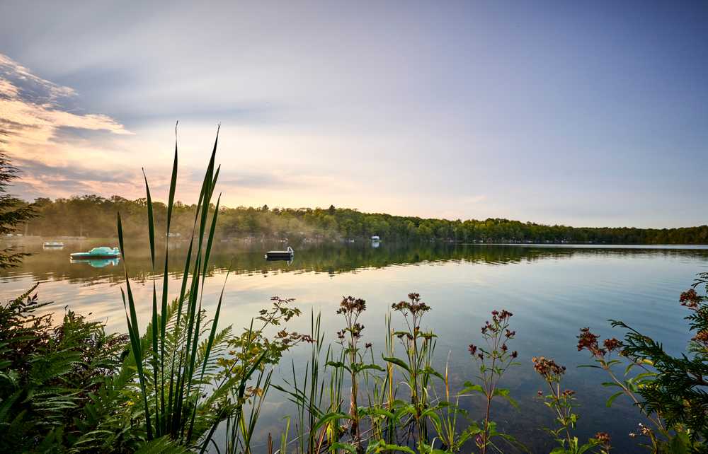 O'Reilly Lake Resort, Mountain Grove, Ontario - Photo 2