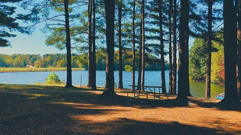 Len's Loop / Lake Front Tent / 20 Amp — image 2 of 7