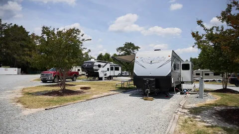 Premium Pull-Through RV Site — image 1 of 1