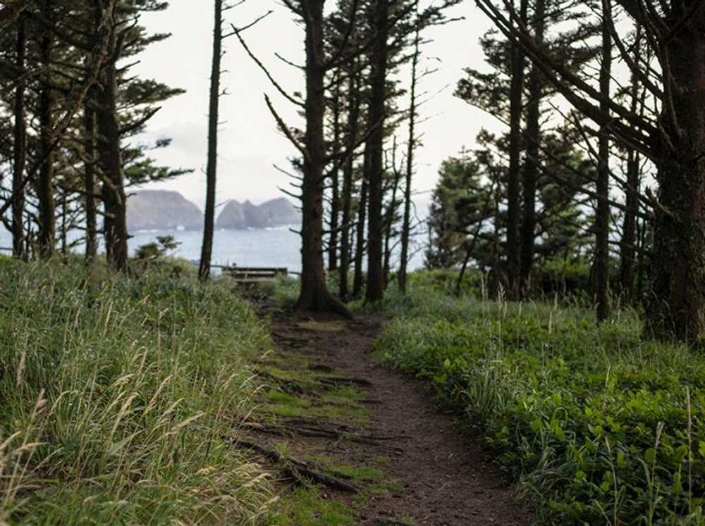 Tillamook Coast RV Park - Photo 2